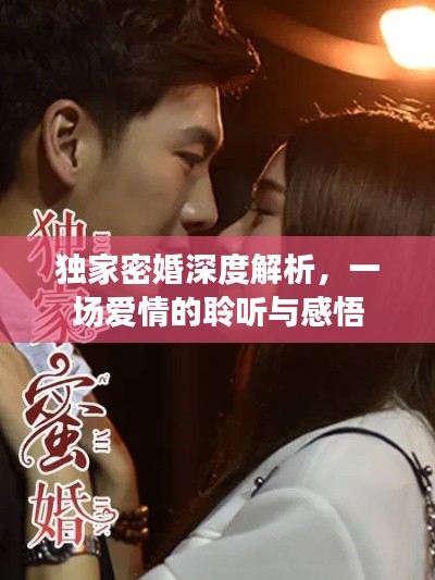 独家密婚深度解析，一场爱情的聆听与感悟