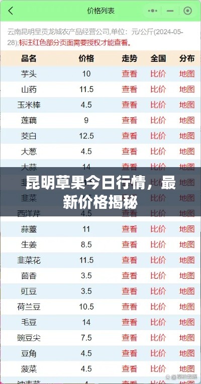 昆明草果今日行情，最新价格揭秘