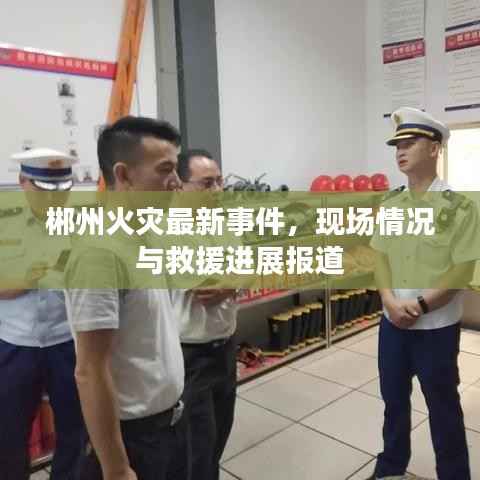 郴州火灾最新事件，现场情况与救援进展报道