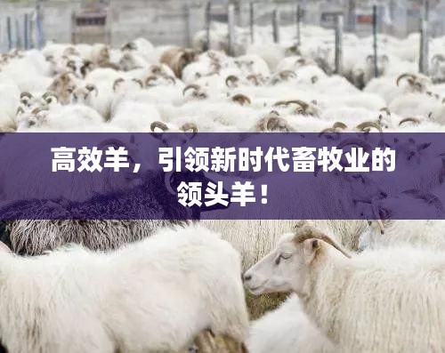 三人成虎 第4页