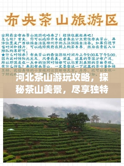河北茶山游玩攻略,探秘茶山美景,尽享独特体验!