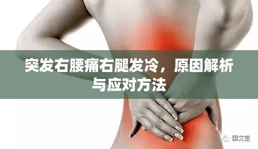 突发右腰痛右腿发冷，原因解析与应对方法