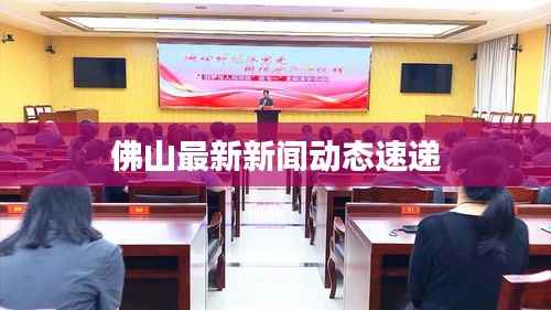 佛山最新新闻动态速递