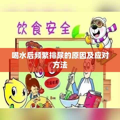 喝水后频繁排尿的原因及应对方法