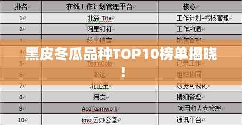 黑皮冬瓜品种TOP10榜单揭晓！