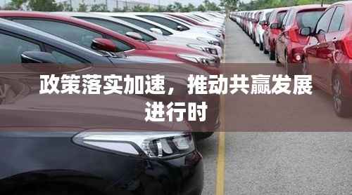 政策落实加速,推动共赢发展进行时