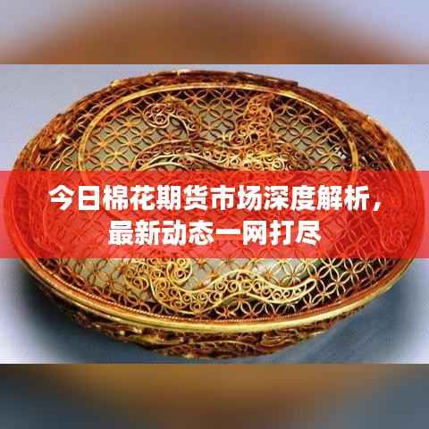 今日棉花期货市场深度解析,最新动态一网打尽