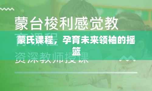 蒙氏课程，孕育未来领袖的摇篮