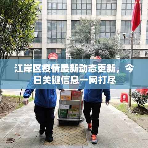 江岸区疫情最新动态更新，今日关键信息一网打尽