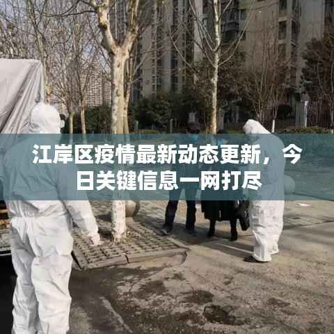 江岸区疫情最新动态更新,今日关键信息一网打尽