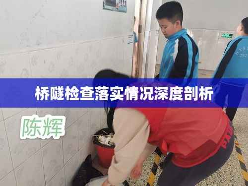 桥隧检查落实情况深度剖析