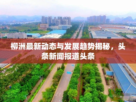 柳洲最新动态与发展趋势揭秘，头条新闻报道头条
