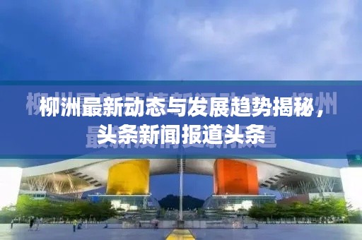 柳洲最新动态与发展趋势揭秘,头条新闻报道头条