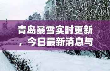 青岛暴雪实时更新,今日最新消息与新闻汇总