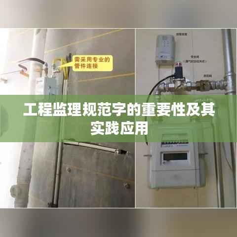工程监理规范字的重要性及其实践应用