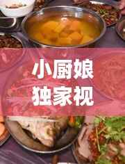 小厨娘独家视频下载，美食制作与分享的新纪元