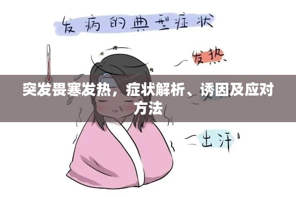 突发畏寒发热,症状解析、诱因及应对方法
