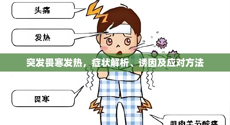 突发畏寒发热,症状解析、诱因及应对方法