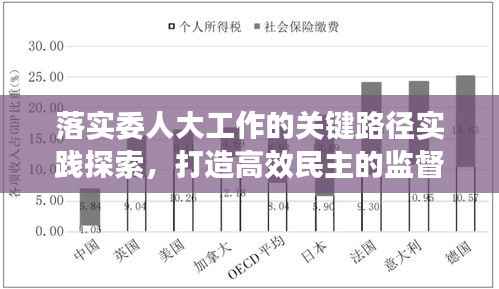 落实委人大工作的关键路径实践探索,打造高效民主的监督与执行体系