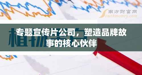 专题宣传片公司，塑造品牌故事的核心伙伴