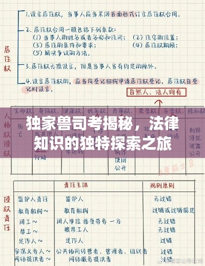 独家兽司考揭秘,法律知识的独特探索之旅