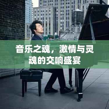 音乐之魂,激情与灵魂的交响盛宴