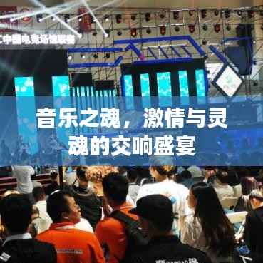 音乐之魂,激情与灵魂的交响盛宴