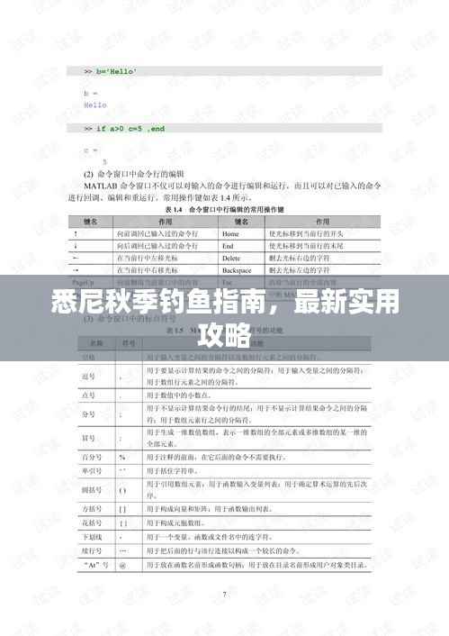 悉尼秋季钓鱼指南,最新实用攻略