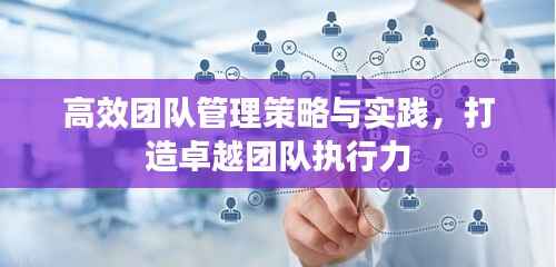 高效团队管理策略与实践，打造卓越团队执行力