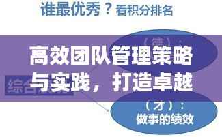 高效团队管理策略与实践,打造卓越团队执行力