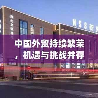中国外贸持续繁荣，机遇与挑战并存