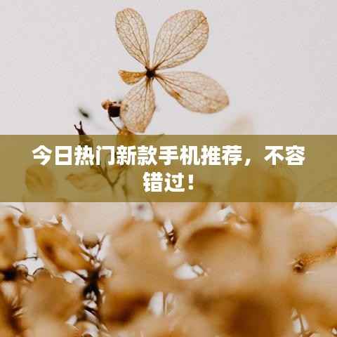 今日热门新款手机推荐，不容错过！