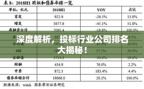 深度解析,投标行业公司排名大揭秘!