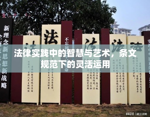 法律实践中的智慧与艺术，条文规范下的灵活运用