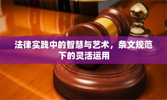 法律实践中的智慧与艺术,条文规范下的灵活运用