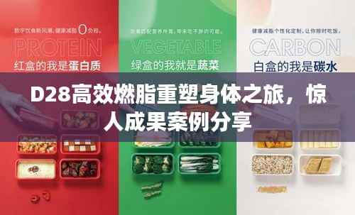 D28高效燃脂重塑身体之旅,惊人成果案例分享