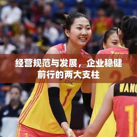 经营规范与发展,企业稳健前行的两大支柱