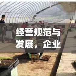 经营规范与发展,企业稳健前行的两大支柱