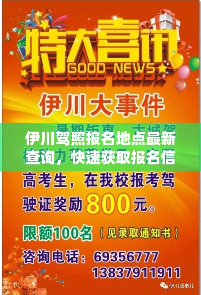 伊川驾照报名地点最新查询，快速获取报名信息
