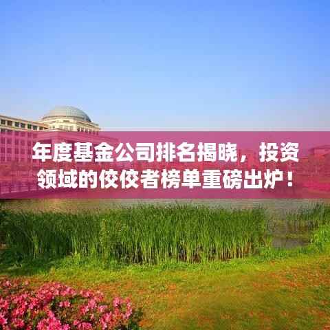 年度基金公司排名揭晓，投资领域的佼佼者榜单重磅出炉！