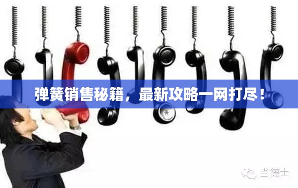弹簧销售秘籍,最新攻略一网打尽!