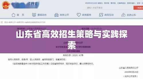 山东省高效招生策略与实践探索