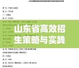 山东省高效招生策略与实践探索