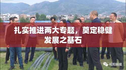 鸟覆危巢 第4页