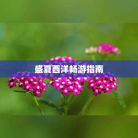 盛夏西洋畅游指南