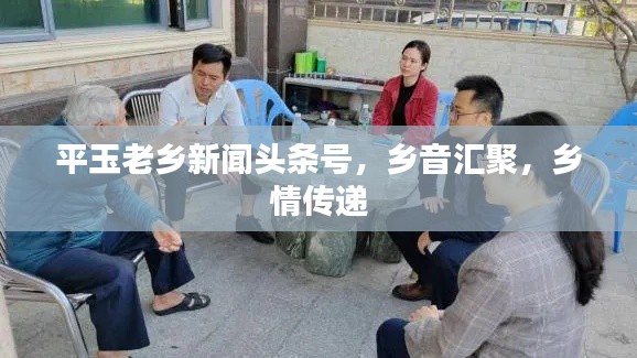 平玉老乡新闻头条号,乡音汇聚,乡情传递
