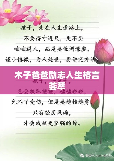 木子爸爸励志人生格言荟萃