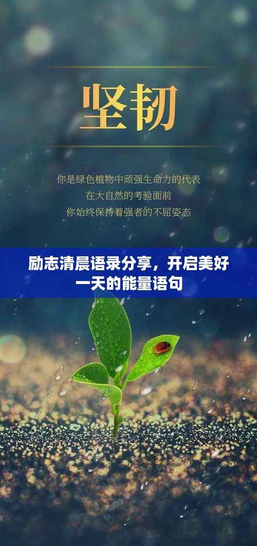 励志清晨语录分享，开启美好一天的能量语句