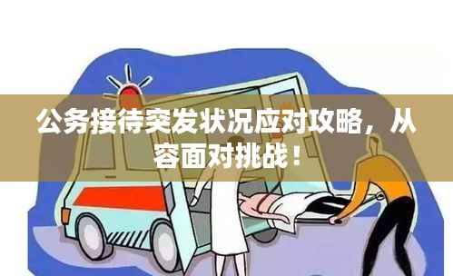 公务接待突发状况应对攻略,从容面对挑战!