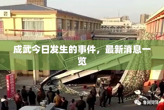 成武今日发生的事件，最新消息一览